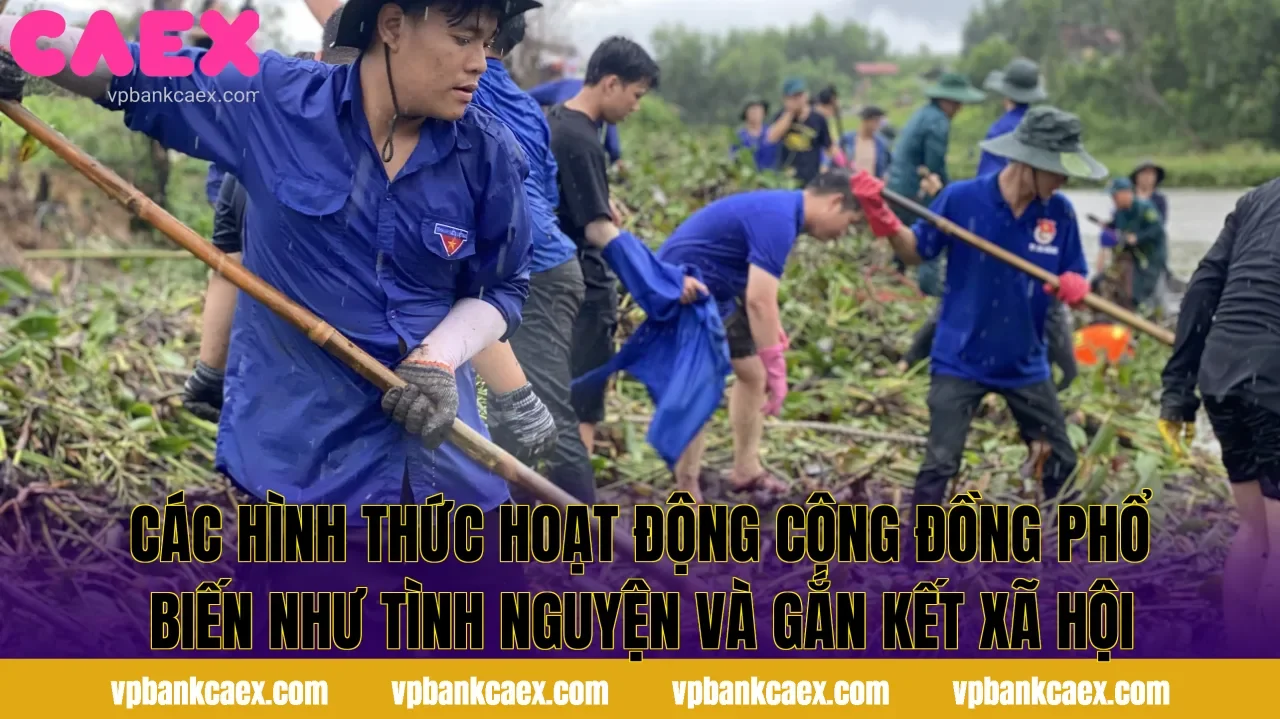 Các hình thức hoạt động cộng đồng phổ biến như tình nguyện và gắn kết xã hội