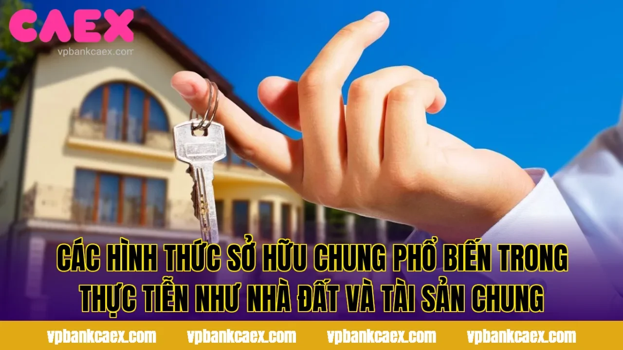 Các hình thức sở hữu chung phổ biến trong thực tiễn như nhà đất và tài sản chung