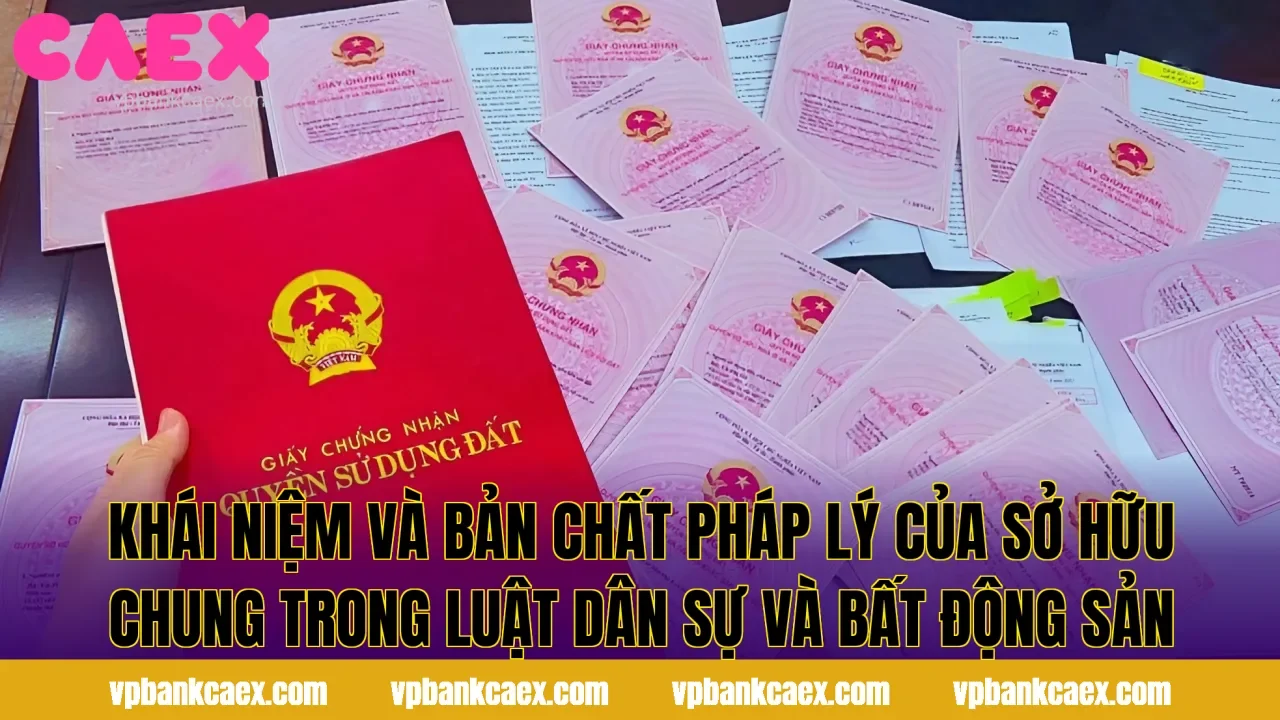 Khái niệm và bản chất pháp lý của sở hữu chung trong luật dân sự và bất động sản