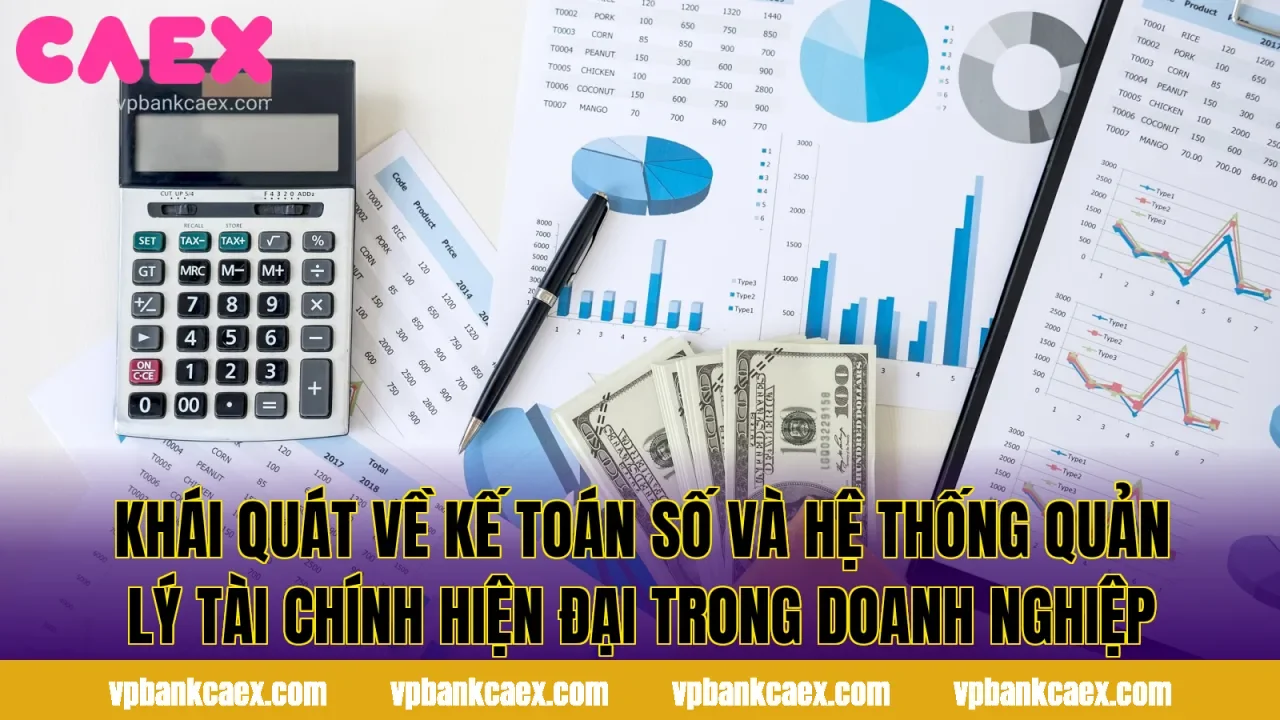 Khái quát về kế toán số và hệ thống quản lý tài chính hiện đại trong doanh nghiệp