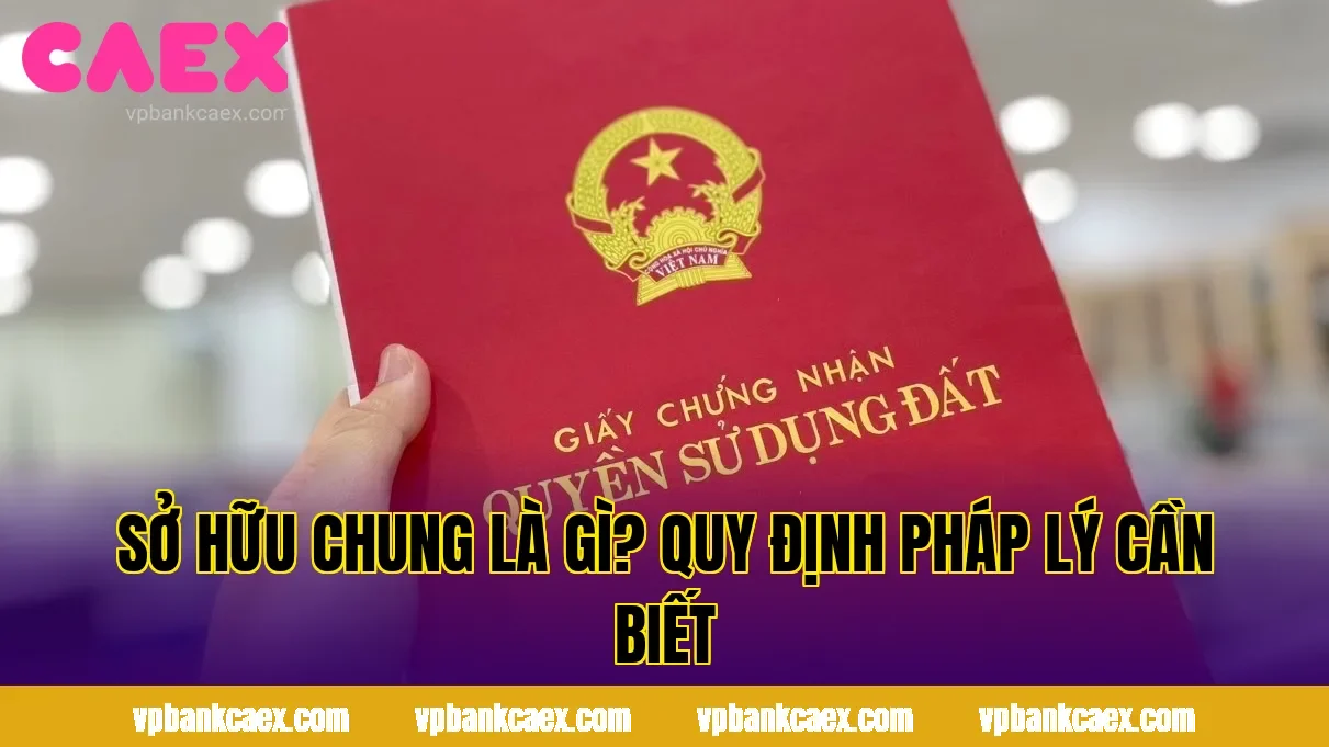 SỞ HỮU CHUNG LÀ GÌ? QUY ĐỊNH PHÁP LÝ CẦN BIẾT