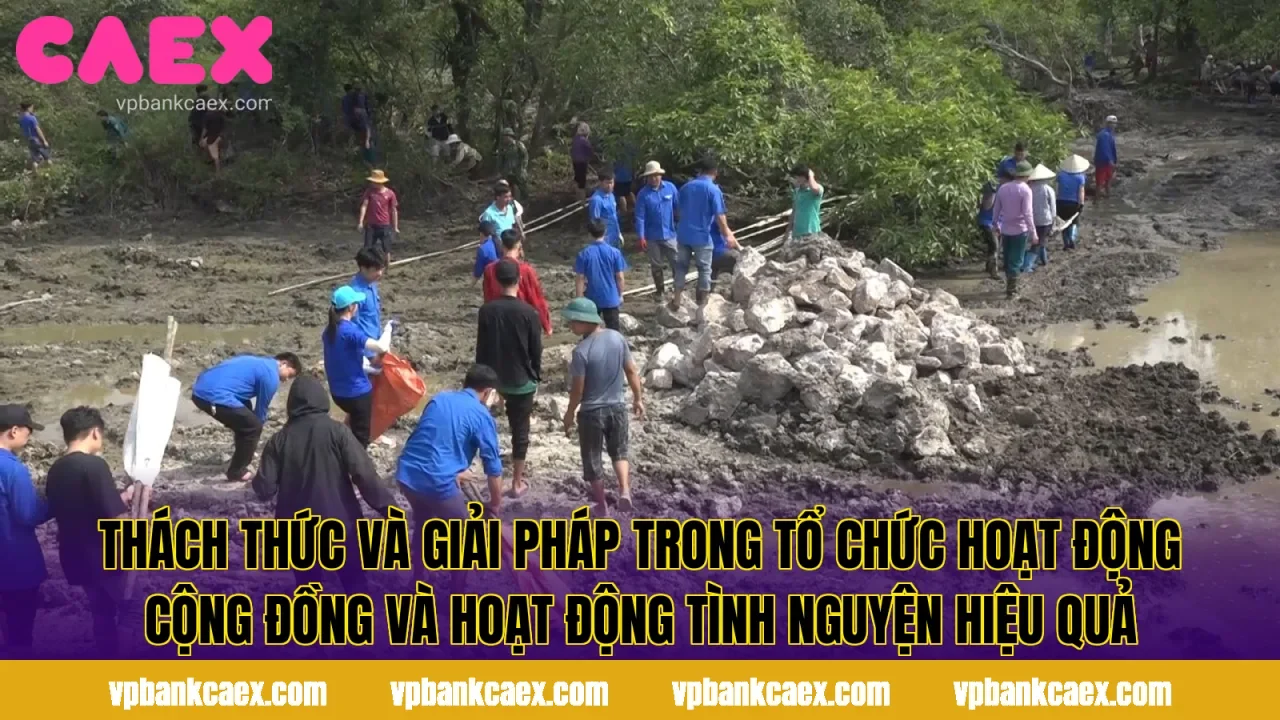 Thách thức và giải pháp trong tổ chức hoạt động cộng đồng và hoạt động tình nguyện hiệu quả