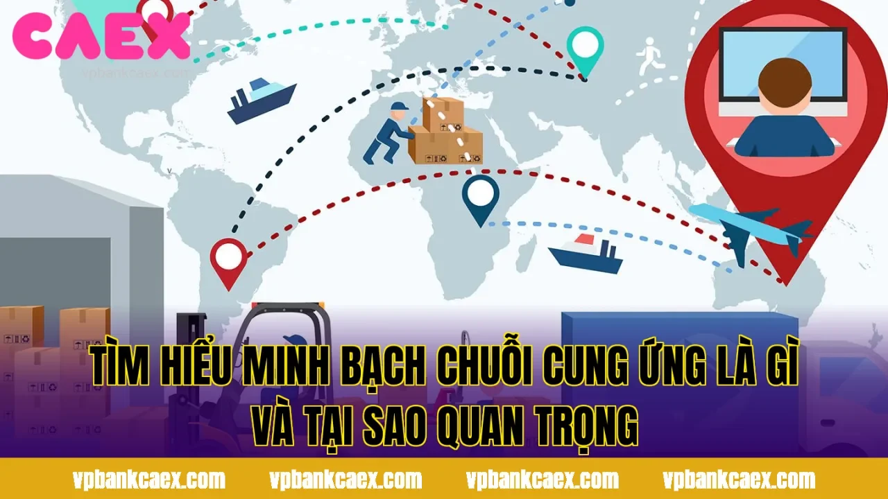Tìm hiểu Minh Bạch Chuỗi Cung Ứng Là Gì Và Tại Sao Quan Trọng