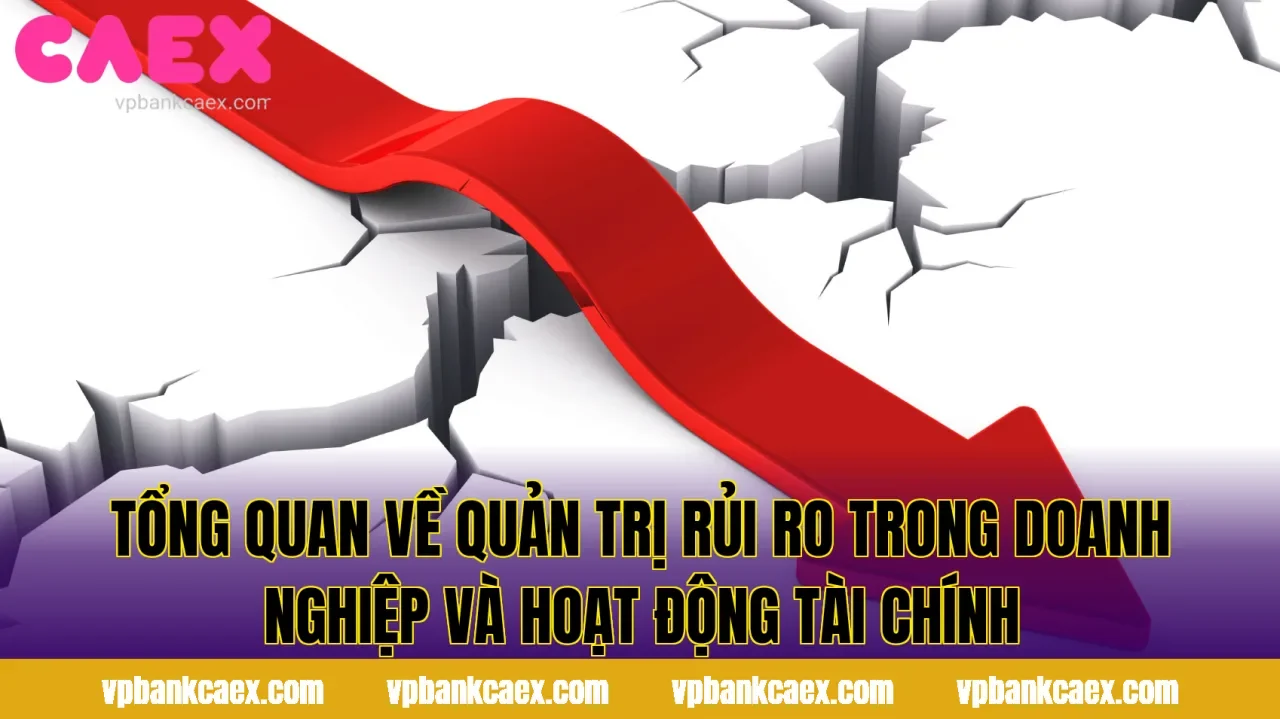 Tổng quan về quản trị rủi ro trong doanh nghiệp và hoạt động tài chính