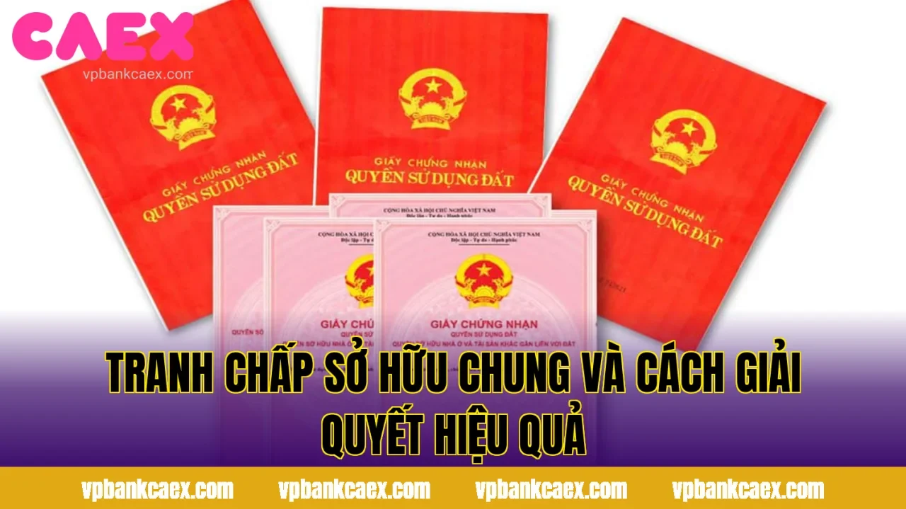 Tranh Chấp Sở Hữu Chung và Cách Giải Quyết Hiệu Quả