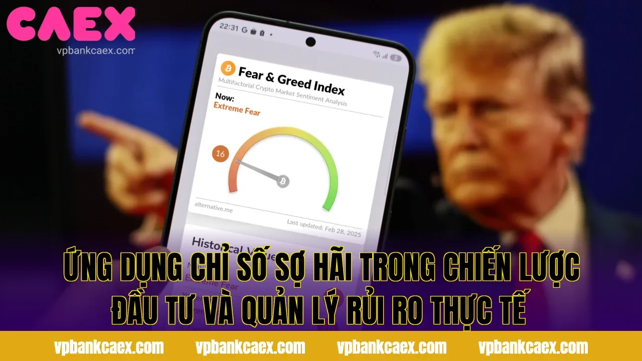 Ứng dụng chỉ số sợ hãi trong chiến lược đầu tư và quản lý rủi ro thực tế